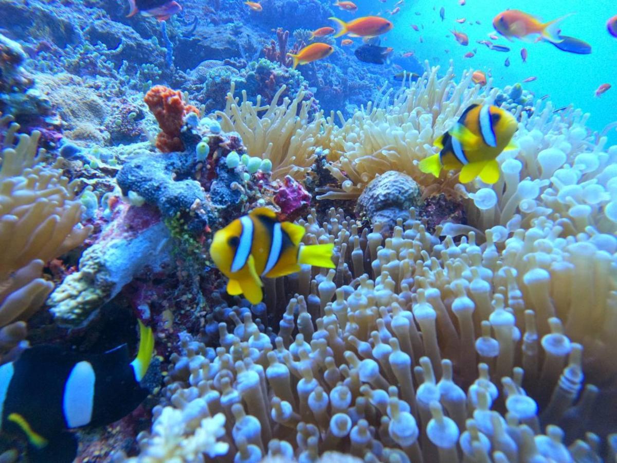White Coral Rasdhoo Hotel Luaran gambar