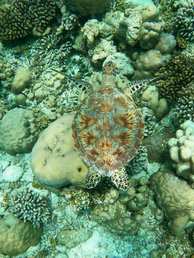 White Coral Rasdhoo Hotel Luaran gambar